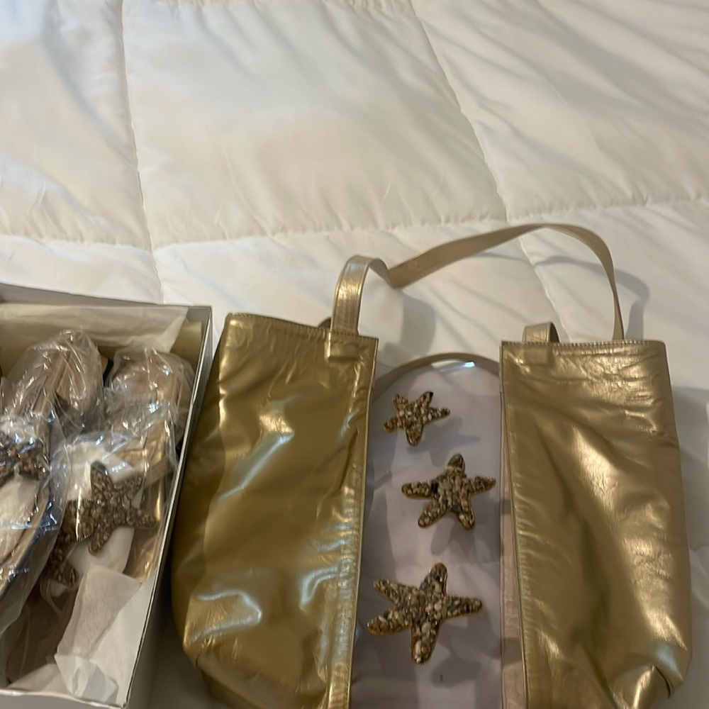 Matching bag that goes with the Timothy Hitsman footwear sandals